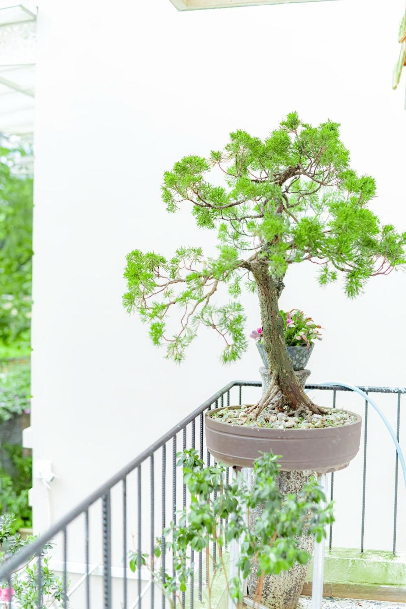 Villa Nho Xinh Khu Chi Lăng Exteriör bild